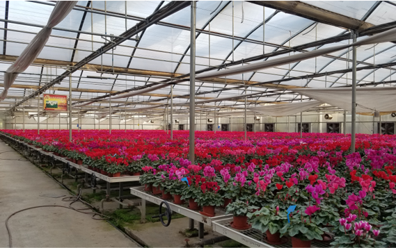 水源熱泵-北京北郎中蝴蝶蘭基地 5萬(wàn)㎡-聞總